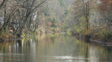 Sonbaharda akan nehrin yanında olduğu doğal parkın renkli orman manzarası