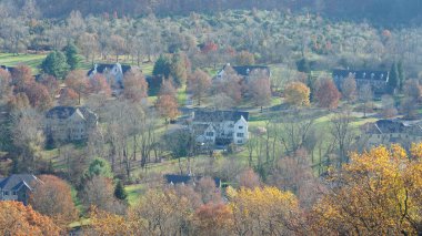 Sonbaharda doğal parkın renkli orman manzarası