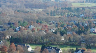 Sonbaharda doğal parkın renkli orman manzarası