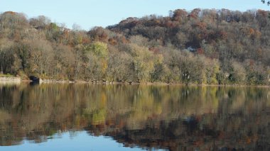 Sonbaharda akan nehrin yanında olduğu doğal parkın renkli orman manzarası