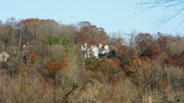 Sonbaharda doğal parkın renkli orman manzarası