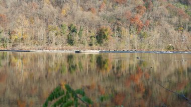 Sonbaharda akan nehrin yanında olduğu doğal parkın renkli orman manzarası