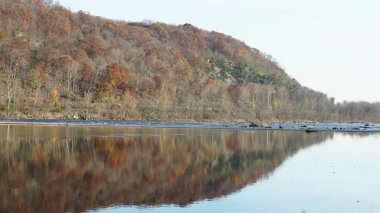Sonbaharda akan nehrin yanında olduğu doğal parkın renkli orman manzarası