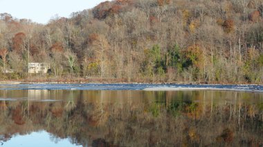 Sonbaharda akan nehrin yanında olduğu doğal parkın renkli orman manzarası