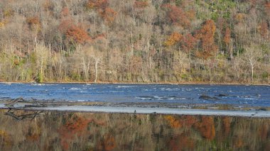 Sonbaharda akan nehrin yanında olduğu doğal parkın renkli orman manzarası