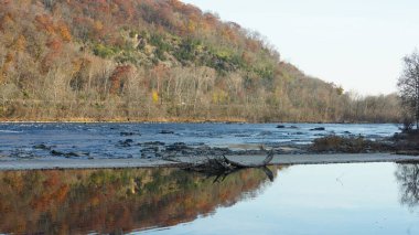 Sonbaharda akan nehrin yanında olduğu doğal parkın renkli orman manzarası