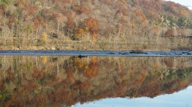 Sonbaharda akan nehrin yanında olduğu doğal parkın renkli orman manzarası