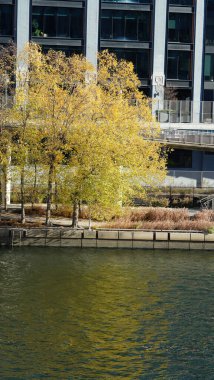 Sonbaharda güzel Philadelphia şehri manzarası