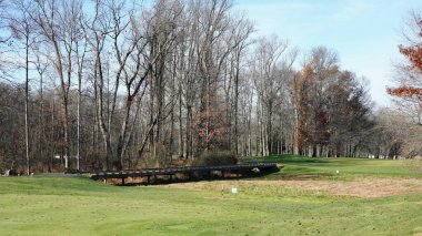 Sonbaharda doğal parkın renkli orman manzarası