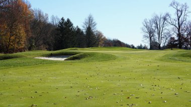 Sonbaharda doğal parkın renkli orman manzarası