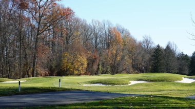 Sonbaharda doğal parkın renkli orman manzarası