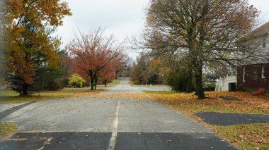 Sonbaharda doğal parkın renkli orman manzarası