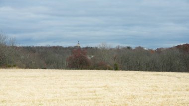 Sonbaharda doğal parkın renkli orman manzarası