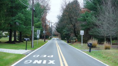 ABD kırsal manzarası sonbaharda renkli orman ormanlarıyla çevrilidir.