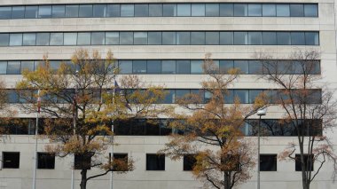 Güz aylarında güzel Wshington DC şehri manzarası