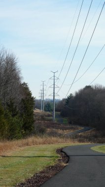 Orman manzaralı bir yol ve yolda çok sayıda egzersiz yapan insan.