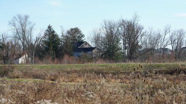 Şehrin kırsal kesiminde kışın vahşi orman manzarası