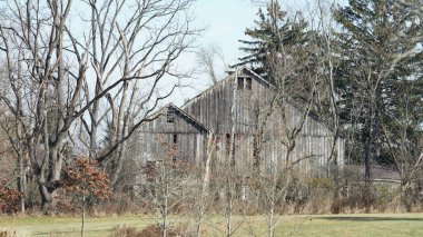 Şehrin kırsal kesiminde kışın vahşi orman manzarası