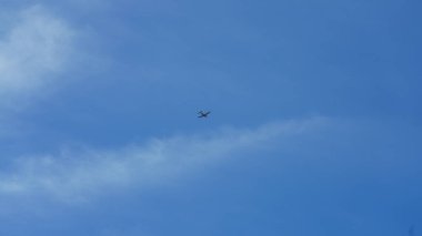 Mavi gökyüzünde özgürce uçan kuşlar