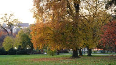 Güz aylarında güzel Wshington DC şehri manzarası