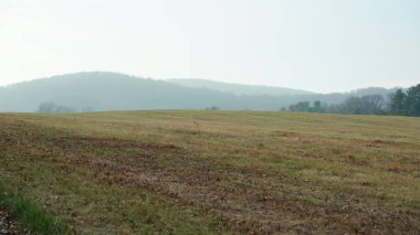 Vadi Forge manzarası Amerika 'da çayırlarla ve ormanlarla dolu.