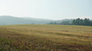 Vadi Forge manzarası Amerika 'da çayırlarla ve ormanlarla dolu.