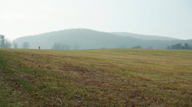 Vadi Forge manzarası Amerika 'da çayırlarla ve ormanlarla dolu.