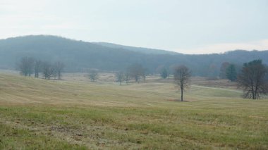 Vadi Forge manzarası Amerika 'da çayırlarla ve ormanlarla dolu.