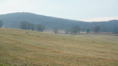 Vadi Forge manzarası Amerika 'da çayırlarla ve ormanlarla dolu.