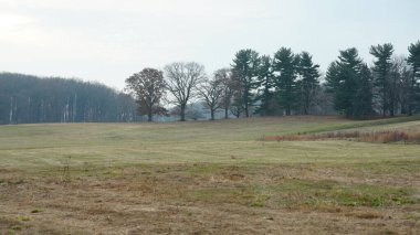 Vadi Forge manzarası Amerika 'da çayırlarla ve ormanlarla dolu.