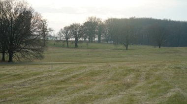 Vadi Forge manzarası Amerika 'da çayırlarla ve ormanlarla dolu.