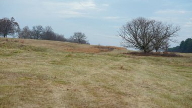 Vadi Forge manzarası Amerika 'da çayırlarla ve ormanlarla dolu.