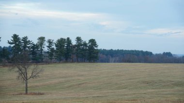 Vadi Forge manzarası Amerika 'da çayırlarla ve ormanlarla dolu.