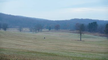 Vadi Forge manzarası Amerika 'da çayırlarla ve ormanlarla dolu.