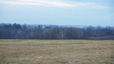 Vadi Forge manzarası Amerika 'da çayırlarla ve ormanlarla dolu.