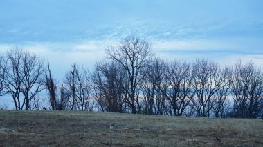 Vadi Forge manzarası Amerika 'da çayırlarla ve ormanlarla dolu.