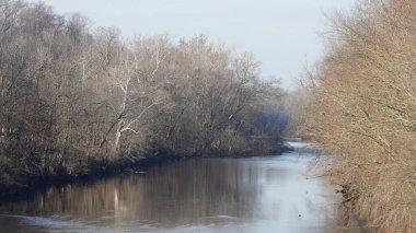 Orman manzarası. Kışın vadide akan bir nehir.