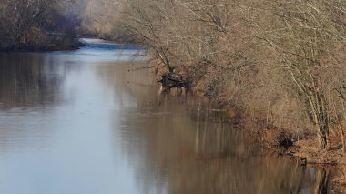 Orman manzarası. Kışın vadide akan bir nehir.
