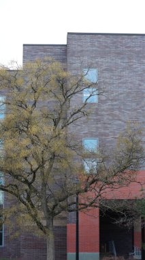 Amerika 'daki Ursinus Üniversitesi' nin güzel kampüs manzarası.