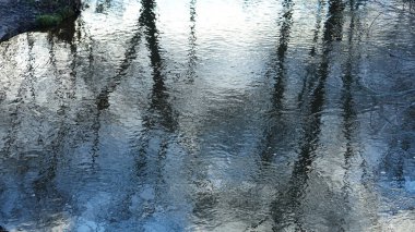 Orman manzarası. Kışın vadide akan bir nehir.