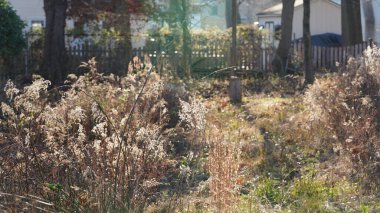 Vahşi sazlıklar kışın gün batımını izlemez. 