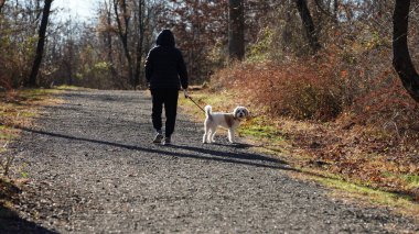 Bahçede beni izleyen sevimli köpek.