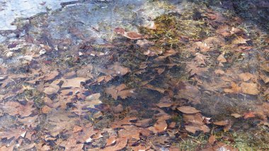 Su yüzeyi kışın buz içinde donmuştu.