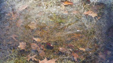 Su yüzeyi kışın buz içinde donmuştu.