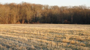 Güzel gün batımı manzarası. Arkaplan renkli bulutlar.