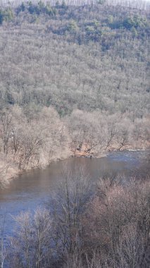 Orman manzarası. Kışın vadide akan bir nehir.