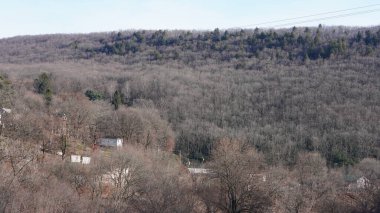 Orman manzarası. Kışın gün batımı güneşi üzerlerine vuruyor.