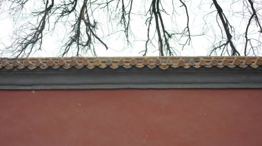 Dallar siluet görünümlü, arkaplan olarak gökyüzü