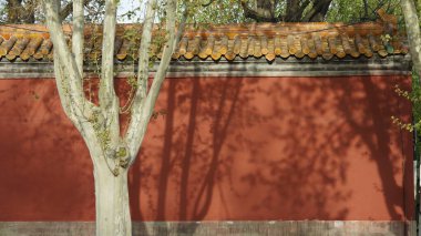 Eski geleneksel Çin binaları oyulmuş taş heykeller ve siyah fayanslarla görülür.