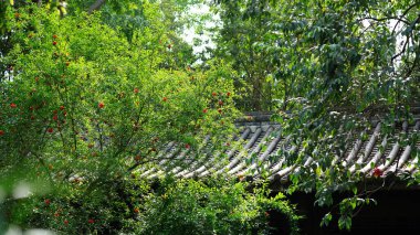 Yazın eski güzel Çin bahçe manzarası